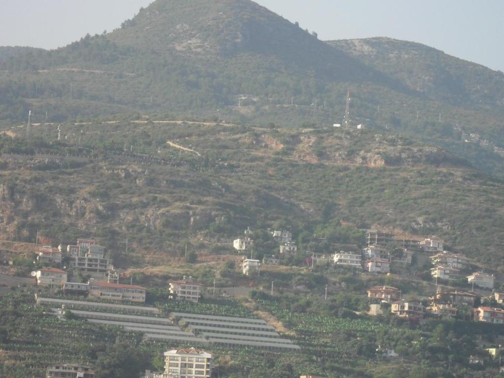Hotel Yildirimoglu Alanya Rom bilde
